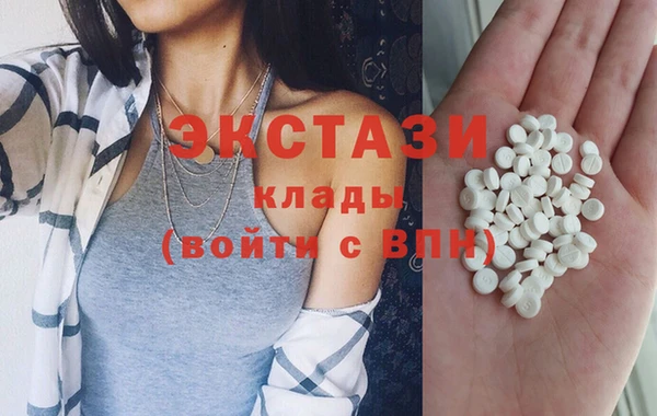 ECSTASY Богданович